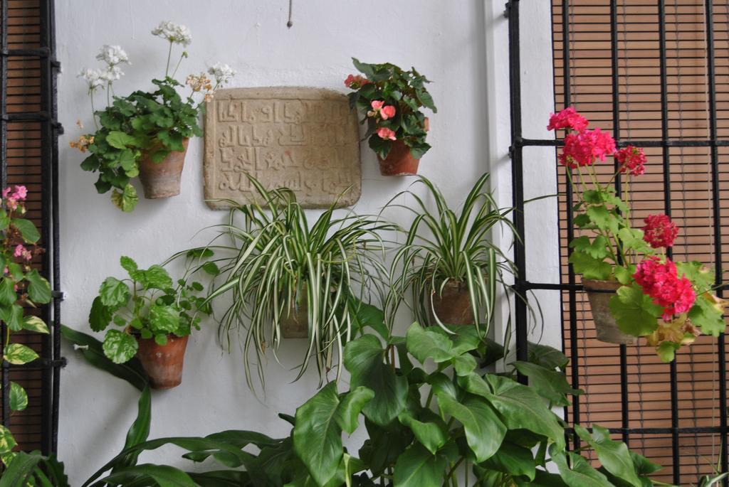 Los Patios Кордова Екстер'єр фото