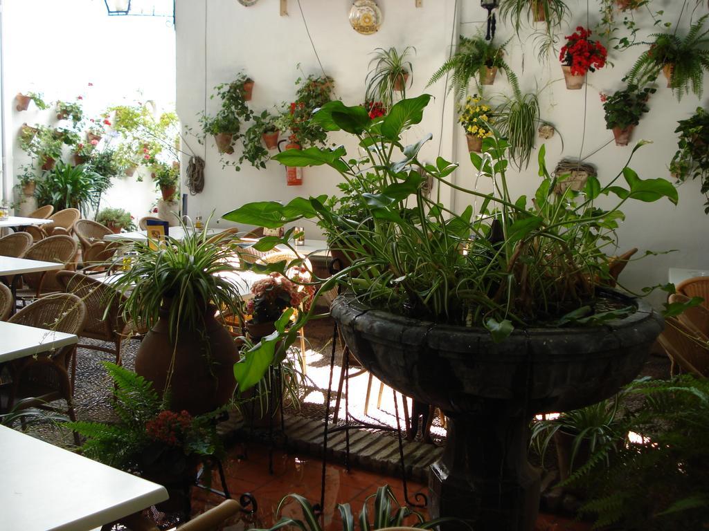 Los Patios Кордова Екстер'єр фото